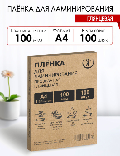 Пакетная пленка для ламинирования, глянцевая, 216х303мм (А4), 100мкм, WF